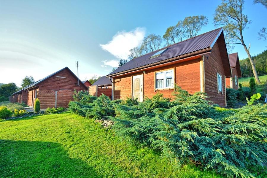 U Zrodel Strwiaza Villa Устшики Долне Екстериор снимка
