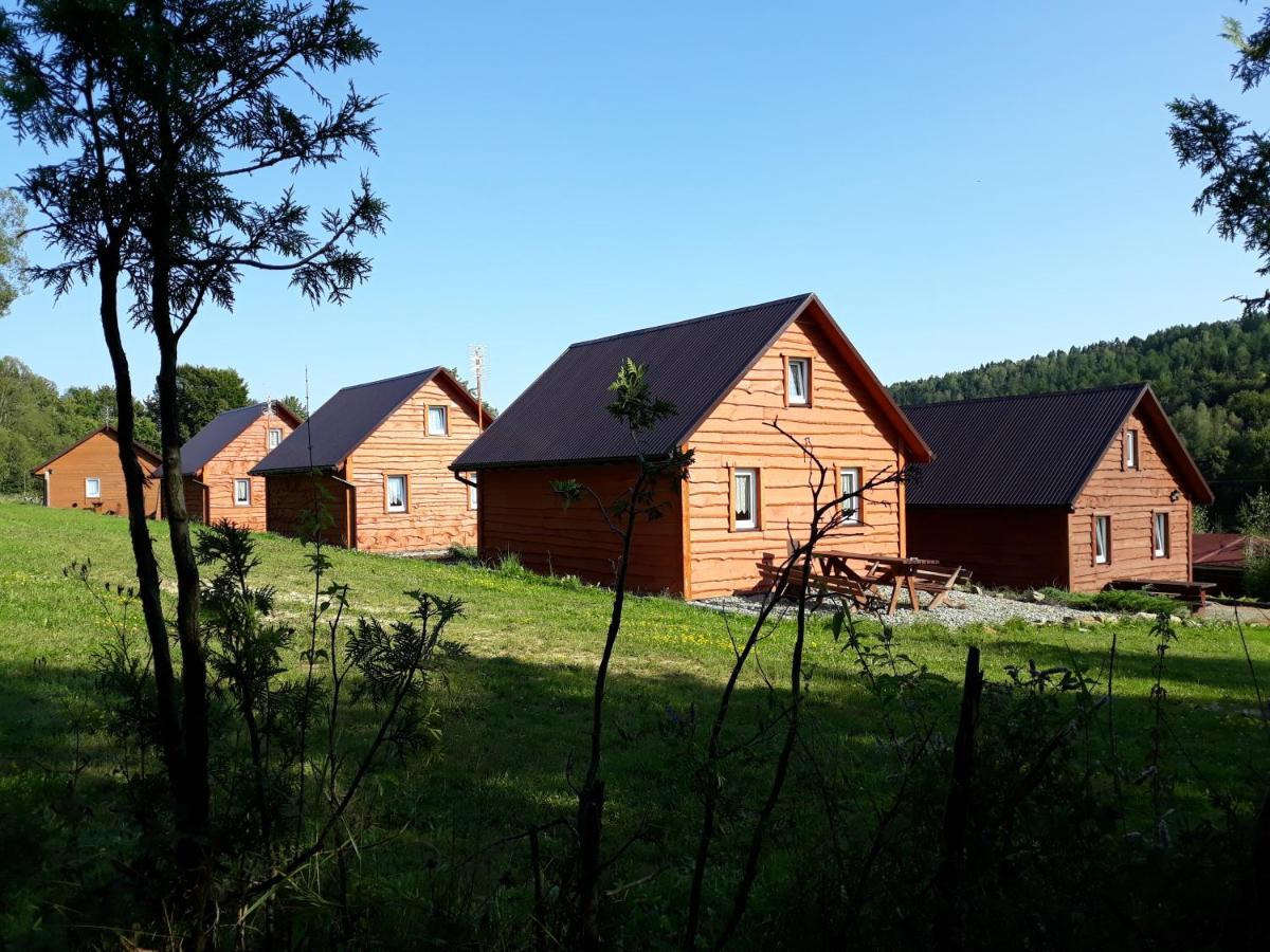 U Zrodel Strwiaza Villa Устшики Долне Екстериор снимка