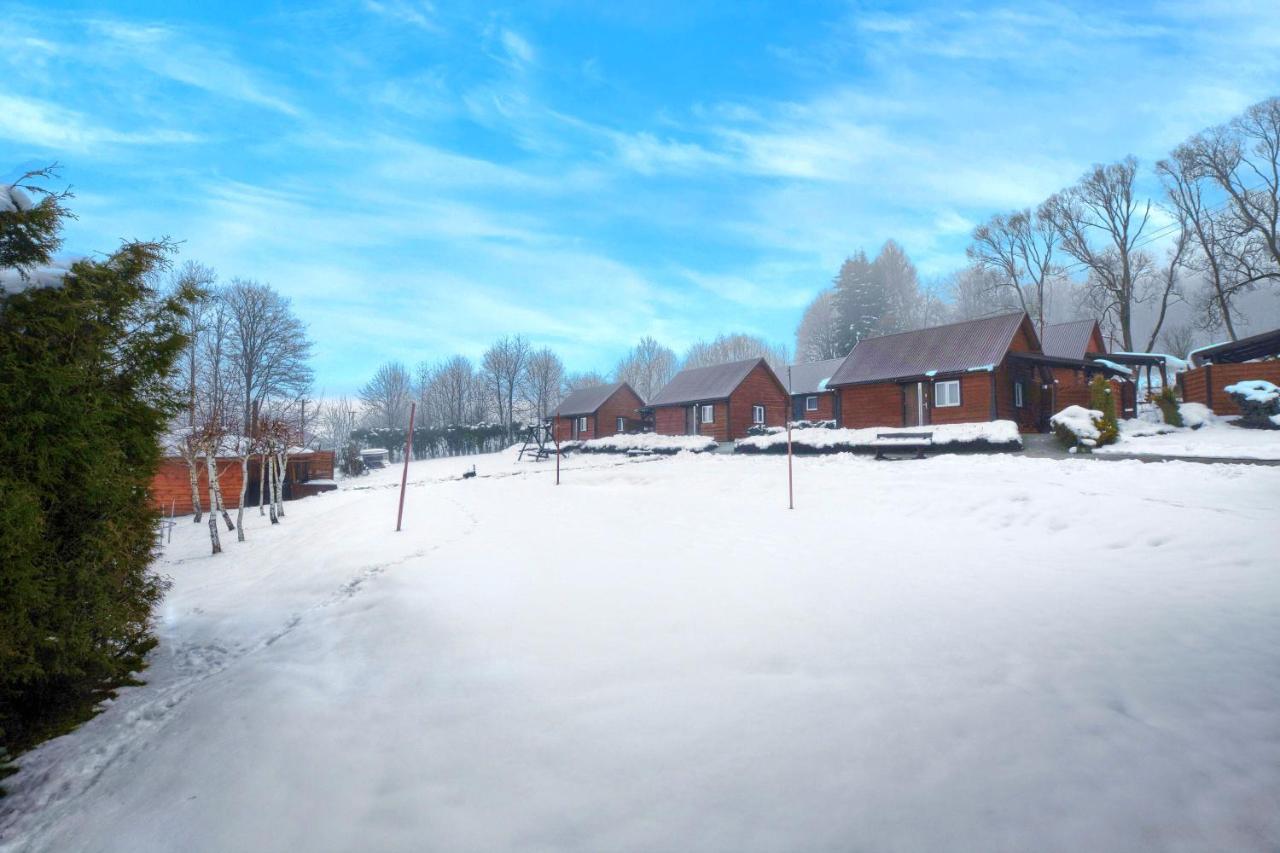 U Zrodel Strwiaza Villa Устшики Долне Екстериор снимка